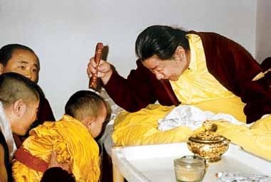Tichen Rinpoche 58 Dharma Shree: