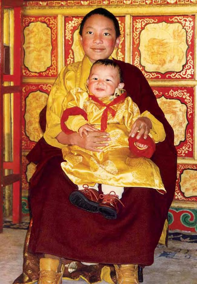 Jamgon Kongtrul Rinpoche His Eminence