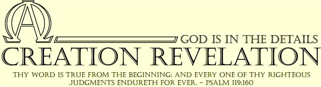 Creation Revelation Robert & Mary Tozier WWW.CREATIONREVELATION.
