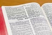 THE PURPOSE AND THEME OF THE BOOK 1:1-7 The book of Proverbs is not mysterious, nor does it leave its readers wondering as to its purpose.
