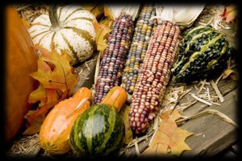 In Mexico, Native Americans developed three important crops: Maize (corn), Squashes, and beans.