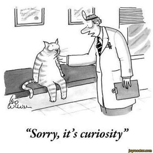 Sorry, it s curiosity. Curiosity dismantles intimidation. Websites, podcasts, blogs, Youtube channels, forums.