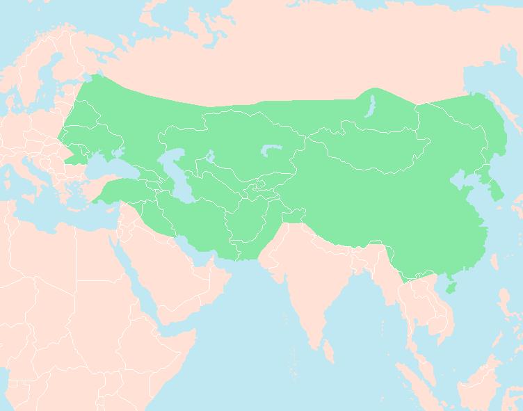 founded The Mongols invaded Europe Genghis Khan's son,