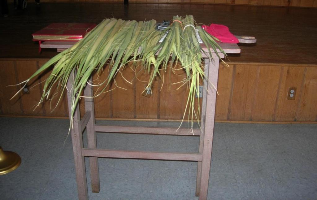 PALM SUNDAY Palms are not placed on table until