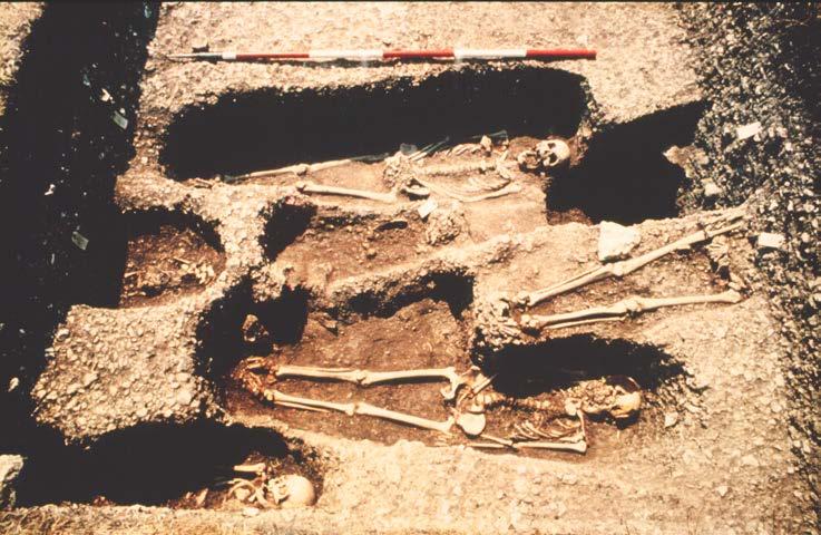 Annex E5: Excavation of skeletons lying partly under baulks 178.