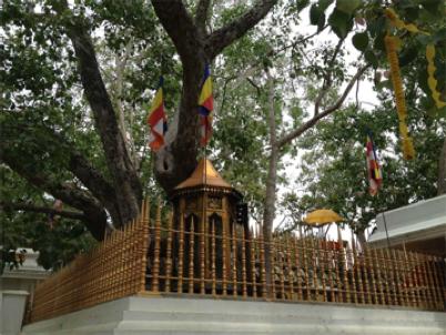BUDDHISM MOVES BEYOND INDIA In Sri Lanka, all monastic buildings had a special shrine, dedicated to the bodhitreethe bodhi-ghara.