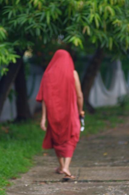 Jan 6th Complicated Real Life: Monks and Ghosts in Thailand McDaniel, Lovelorn Ghost and Magical Monk, 1-69. Booth, The Craft of Research, 1-26.