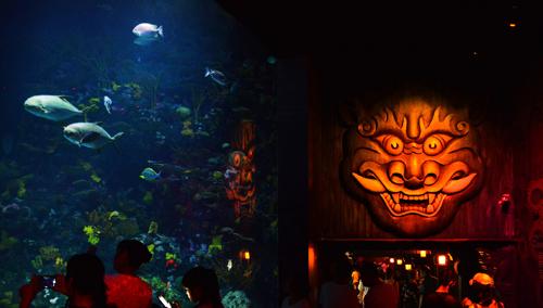 Here the entrance of the local Shanghai aquarium, and as you can see, full of young people.
