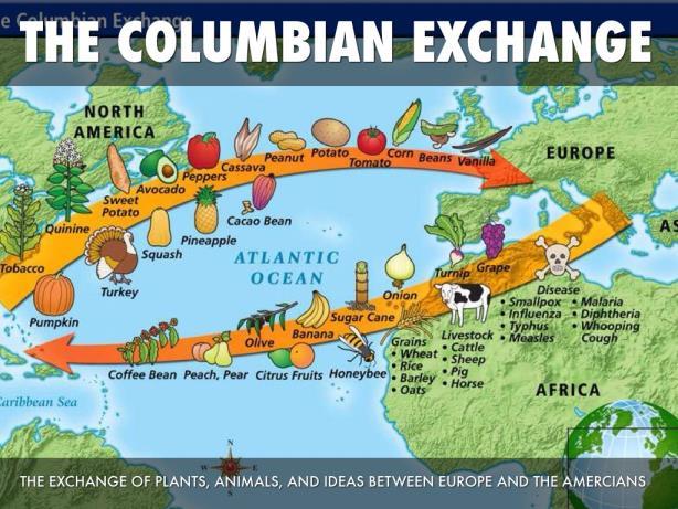 Consequences of the Columbian Exchange: For Europe: new crops fed a population