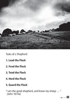 10 minutes STUDY THE BIBLE Notes Psalm 23:1-3 1 The Lord is my shepherd; I have what I need. 2 He lets me lie down in green pastures; he leads me beside quiet waters.