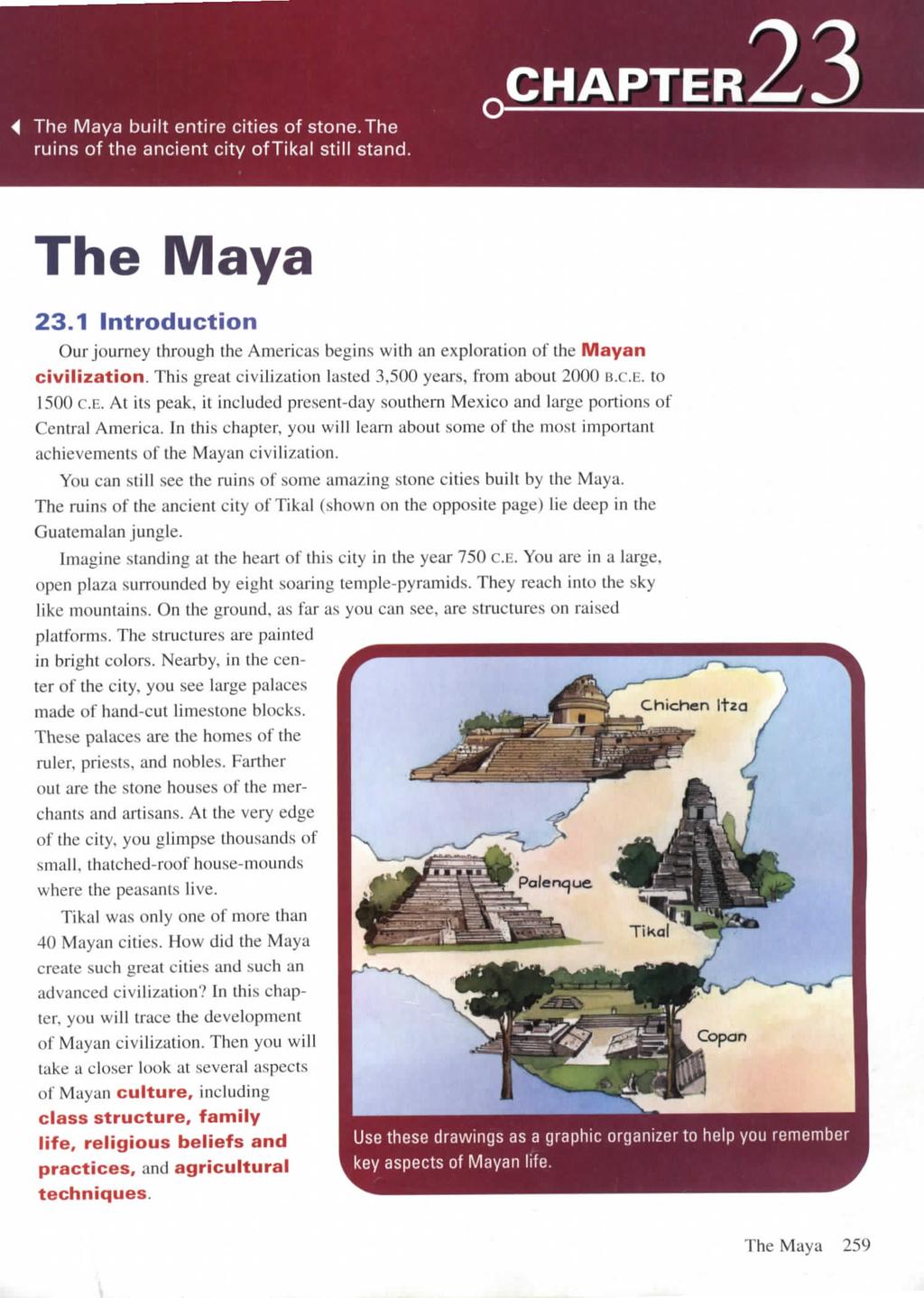 The Maya built entire cities of stone.the ruins of the ancient city oftikal still stand. CHAPTER The Maya 23.