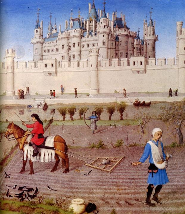 required to farm and work to support the other classes. The peasants were called serfs or villeins. The lord of a castle owned the land all around it for several miles. He got this land from his king.