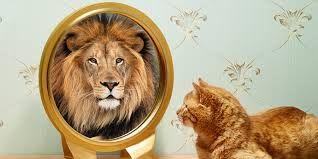 Lack of Mirrors As a symbol of Reflection & Defining Oneself A mirror serves as a visual definition and understanding of oneself Absence of mirrors forces each character to rely on each other for a