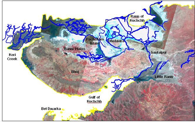 Satellite Image showing the Saraswati palaeo-drainage