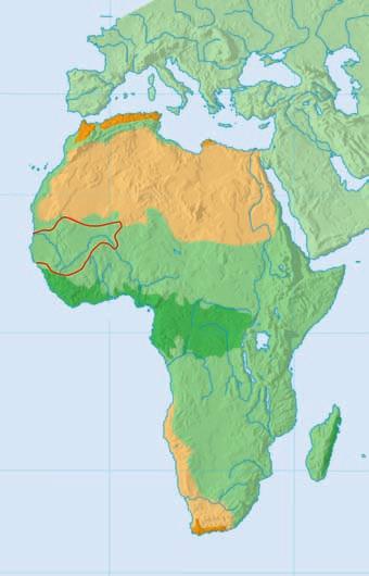 West African Empires, 1000 1500 Empire of Ghana, A.D.