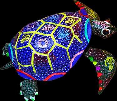 Turtles- Land and especially aquatic tortugas are associated with music as their shells were used as