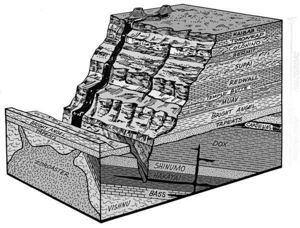 Creation 9 The Great Flood Evolutionists have misinterpreted the evidence of the Great Flood. The truth is, fossils were buried quickly in a short space of time, not over millions of years.