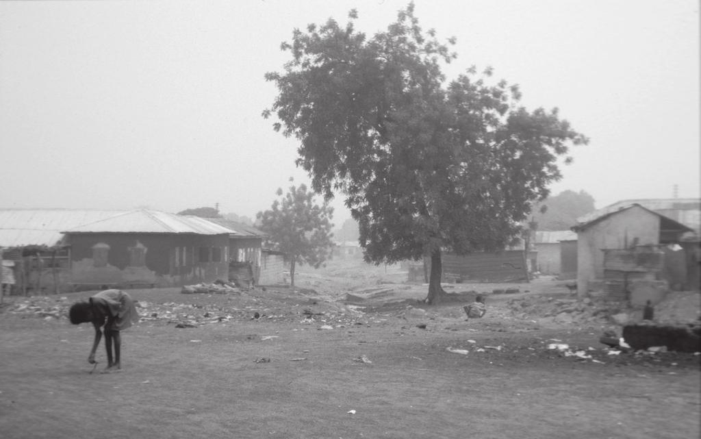 H o l g e r W e i s s Plate 2. Dusty weather in a suburb of Tamale during the Harmattan season in 2000. found here and there.