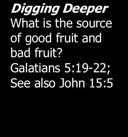 Matthew 6:25-7:29 5 17. What did Jesus say He was in John 10:9? How did Jesus describe what people would find when they entered? 10:9-11 How did Jesus describe Himself in John 14:6?