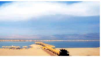 the Dead Sea Resort &