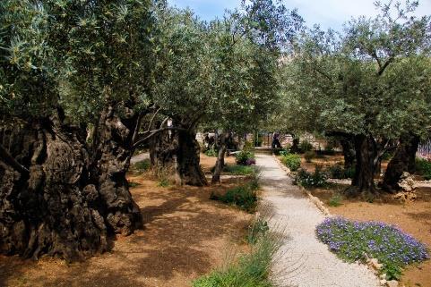Orient Hotel, Jerusalem Ancient Olive Trees in the Garden of Gethsemane Sunday, June 18 The Jordan River: Israel s Eastern Border Briefing by former IDF Chief of Staff and Defense Minister Moshe