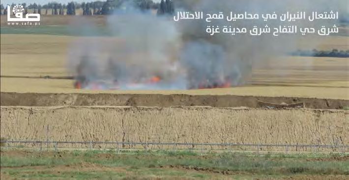 8 Events along the Gaza Strip border After the Friday demonstrations, Palestinians continued to gather near the security fence and attempt to damage it.