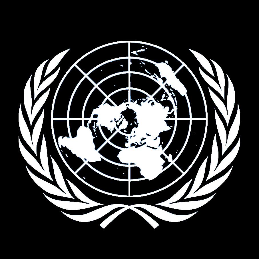 School Model United Nations
