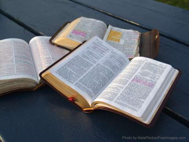 6 Word Studies Word studies are probably the most popular form of Bible study for many folks.