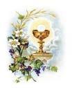 The Most Holy Body & Blood of Christ MASSES AND SERVICES FOR THE WEEK MONDAY, JUNE 23, 2014 Weekday 2 Kgs 17: 5-8, 13-15a, 18; Mt 7: 1-5 6:30 AM Lv. Ints.
