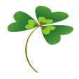 Sunday, 3/17/13: Fifth Sunday in Lent: Happy St. Patrick s Day! Second Collection: Sacred Heart School PSR classes today from 9:10 until 10:10 am. SHARE/RCIA from 9:15 10:15 am. (Last class for RCIA).