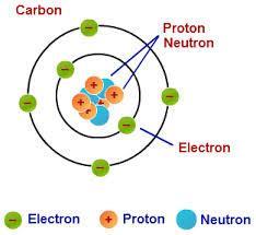 The diversity of organic compounds is due to the fact that a carbon atom is tetravalent, which allows it to form stable compounds.