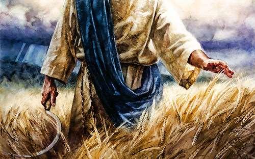 Part 3: Divine Harvest 14 Then I looked, and behold, a white cloud, and on the cloud sat One like the Son of Man, having on His head a golden crown, and in His hand a sharp sickle.
