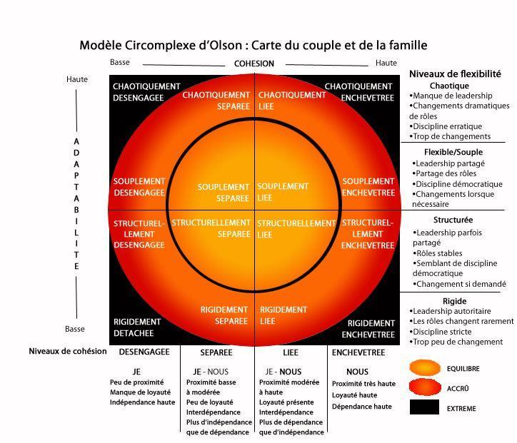 adaptability according to David OLSON's circumflex family model.