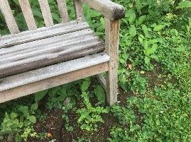 Churchyard Benches In the Church Yard, we have six benches that have just been pressure cleaned.