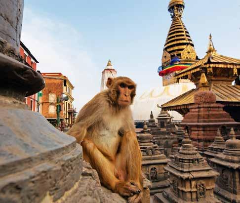 This tour, supported by the Royal College of Midwives and led by its Chief Executive, Cathy Warwick, will take you from bustling Kathmandu to the serene mountainside city of Pokhara before heading to