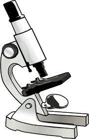Why you need a Microscope Scientists need Microscopes to look at people s blood, to look at cells and bacteria, to make cures for diseases and find out more about science!