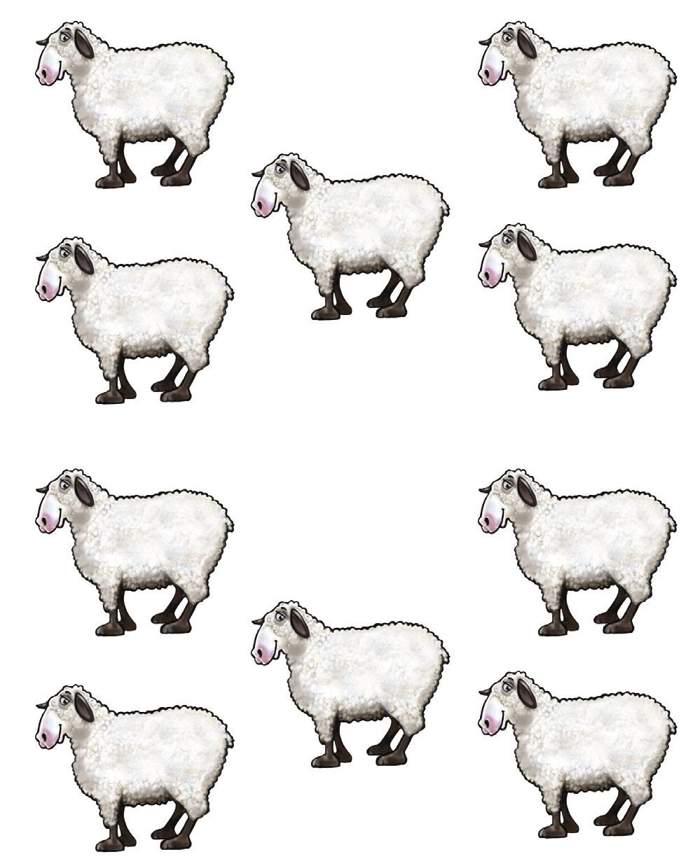 Sheep (June