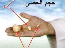 Throwing the Pebbles (Jamaraat) On Eed Day, and before the sun rises, one should head to Mina to throw the pebbles.