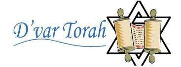 Mitzvah Six D var Torah At the second Family Workshop, you decided on the theme from your Torah Portion that you found most interesting.