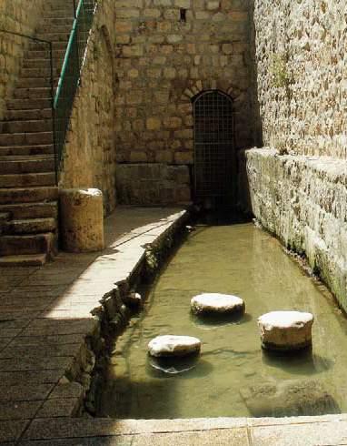 We exit the pool and descend a stairway that leads to the remains of a Second Temple Period street.