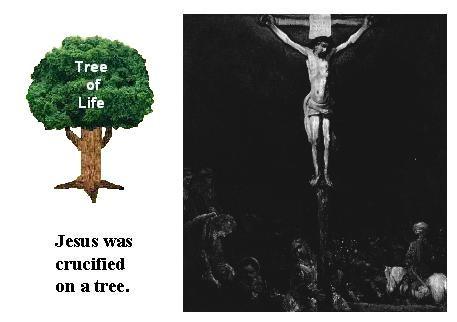 Tree of Life Let us now examine some of the features of the garden that compare to our spiritual situation in the church today.