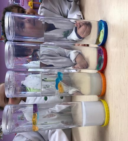 EARLY CHILDHOOD CENTER Mr. Mike s Science class this week investigated the difference between fresh water and salt water.