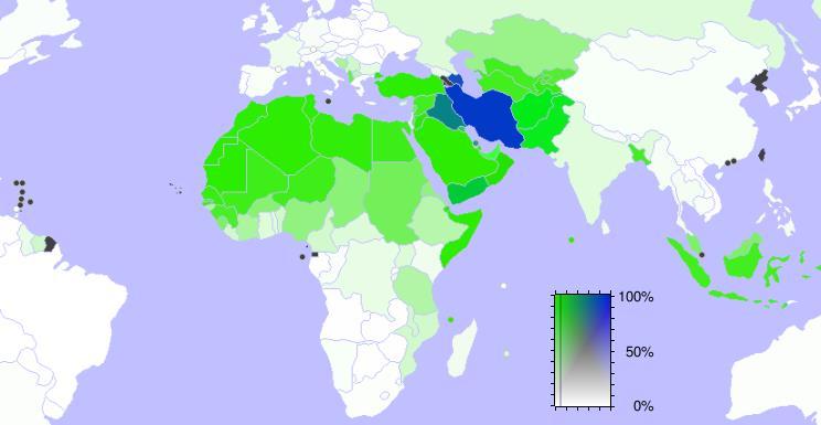 1. Sunni and Shia Muslims The Division of Islam into Sunni and Shi a Islam has two main sects.