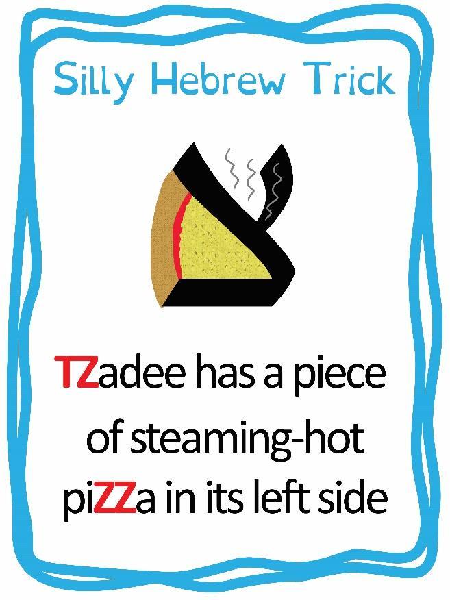 צ Lesson 18: Tzadee Meet your next צ letter, the Tzadee! Tzadee doesn t have one English letter that matches it exactly: we write out its sound with a combination of two letters, T+Z (TZ) or T+S (TS).