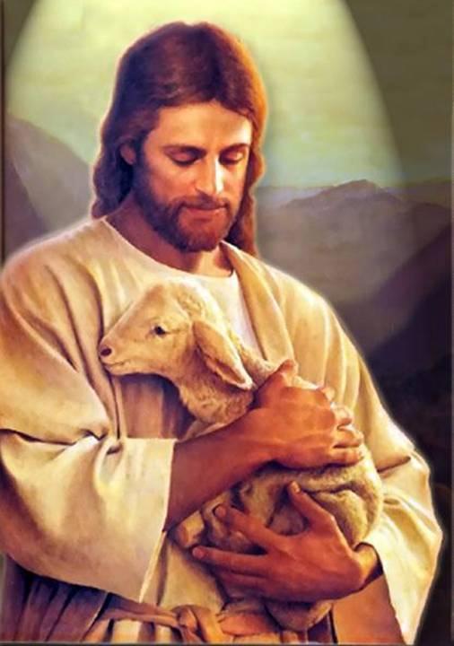 Jesus, the Good Shepherd came to save this