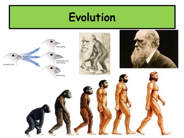 Atheist Richard Dawkins Evolution is the only known