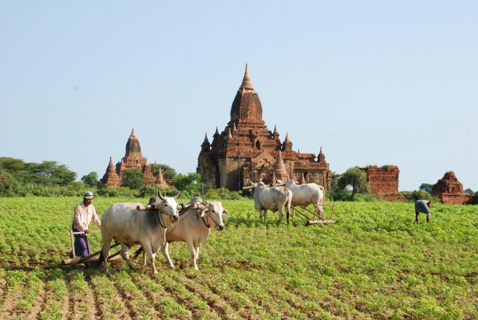 BURMA Arrive: 0800 Monday, 25 February Onboard : 1800 Friday, 1 March Brief Overview: Burma is a land of unsurpassed beauty and inspiration, with the Buddhist religion being the focal point of