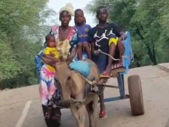 ANNUAL REPORT 2016 25 Donkey Carts The purchase of two donkeys and a cart for a family in Mali allows them to become selfsufficient.