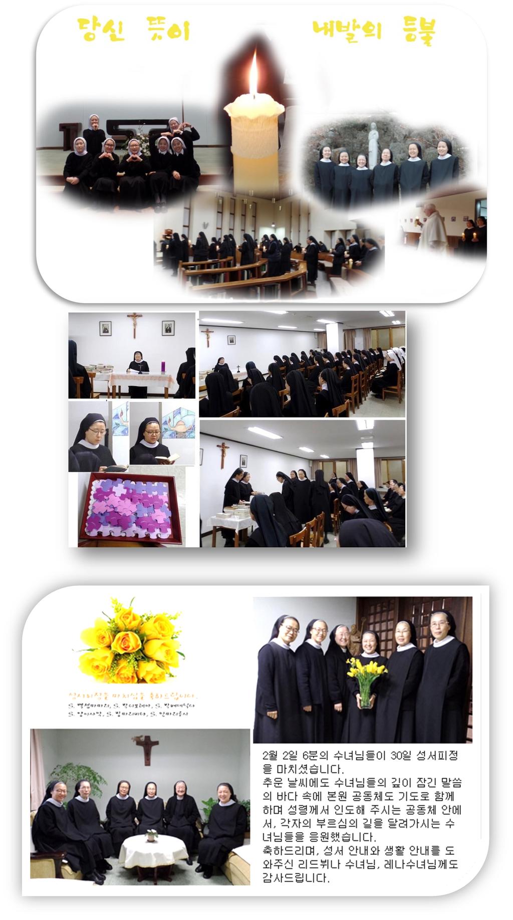 The beginning of February The feastday of presentation of the Lord Novitiate posed and Junior sisters before their status changes coming soon, that is on the feast of St. Scholastica.