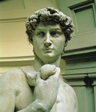 220 EXPLORING WORLD RELIGIONS Figure 6.3 The head of the sculpture of David, by Michelangelo.